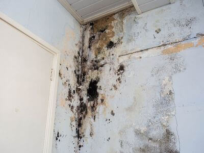 About water damage cleanup - ceiling water damage repair experts in Boulder
